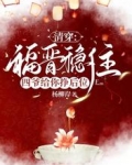 清穿：福晋稳住！四爷给你挣后位