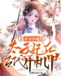 真身穿越：太子妃在古代开机甲