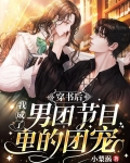 穿书后，我成了男团节目里的团宠